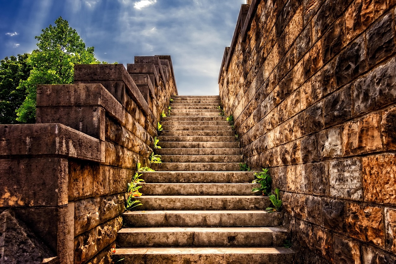 Le chemin du yoga