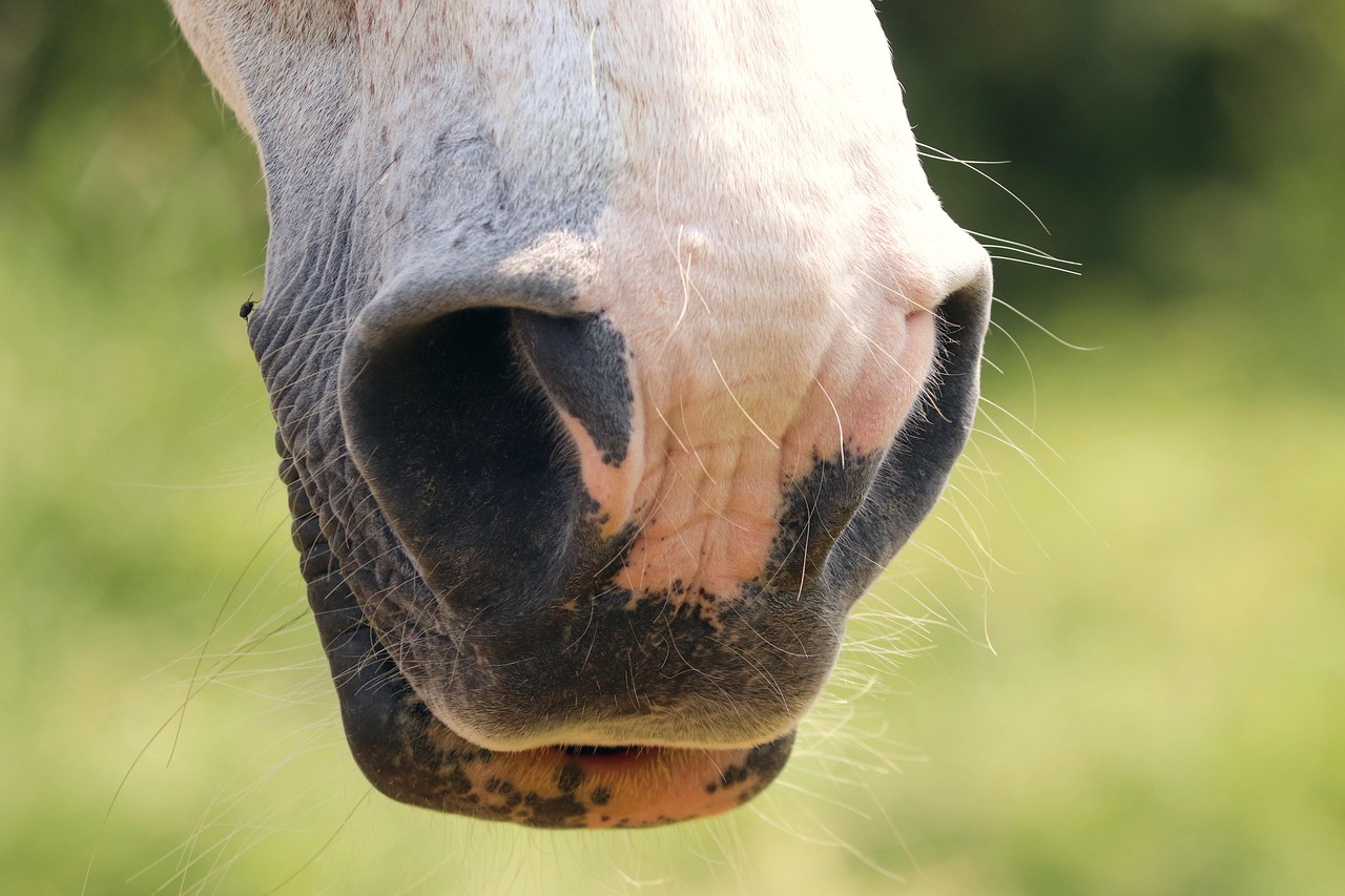 Comment bien respirer ?
